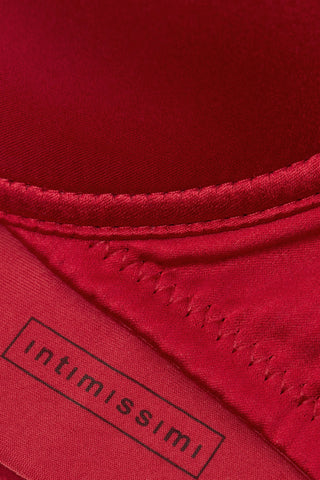 Silk Push Up Bra Elegant Straps Luxurious Feel