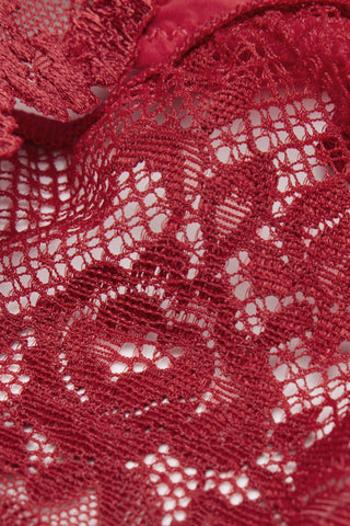 Floral Lace Panties Romantic Delicate Feminine