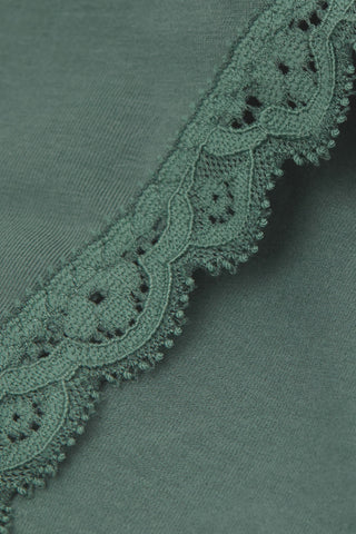 Soft Cotton Lace Panties Feminine Elegance